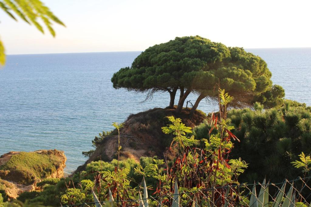 Alfagar Village Appart hôtel Albufeira